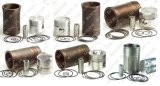 Piston Kit Diesel Engine Parts