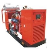 300kw Natural Gas Generator Set (WTQ300GF)