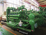 120kw-600kw Experienced Rich Biogas Plant H Series Biogas Generator