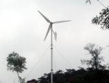 Wind Generator Turbine With 300W-20kw