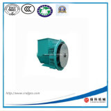 Single or Twin Bearing Factory Produce 10.8kw Alternator