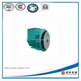 Single or Twin Bearing Factory Produce 10.8kw Alternator