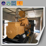 Electric Power Gasification Wood Chip Biomass Generator