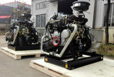 Marine Generators with Chinese Brand Engine and Faraday Alternator Use for Boat