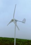 500W Wind Turbine/Wind Generator/Windmill (J-500HX)