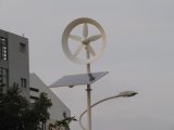 Wind Turbine (0276)