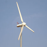 Wind Turbine Generator 3000W Wind Tower