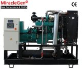 Biogas CHP Generator 50kw