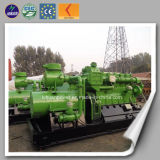 10-1000kw Manufacturer High Efficiency Biogas Engine Generator