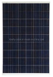 230W Poly Solar Panel (LBT-P230)