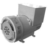 Wuxi Bearing AC Alternative Alternator Generator 220V