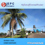 Typical Configuration of Palm Plantation Captive Power Plant