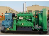 Natural Gas Generator, 24kw-1000kw, Series T