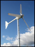 2000w Wind Turbine (SFD-2000)