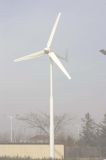 Horizontal Axis Wind Generator (100W-30KW) 