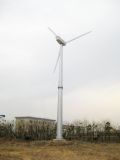 on Gird 50kw Wind Power Generator for Farm Plant