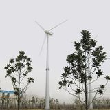 50kw Windmill Generator Wind Turbine with Low Rpm