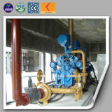 Coal Gas Generator with CE and ISO Certificate (10-600kw)
