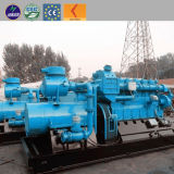 Coal Gas Power Plant Applied Coal Gas Generator with CE