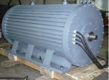 100kw Hydro Turbine Generator (50Hz)