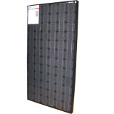 Sales Promotion for 190W Black Mono Solar Panel at Rotterdam Port (Netherlands)