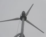 30kw Wind Turbine