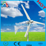 Fd 500-3000W Wind Power Generation Eguipment