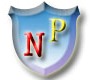 Newpower Inc.