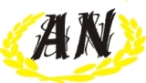 Shanghai Anion Lighting and Electrical Company Limited