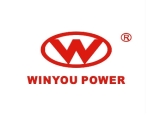 Chongqing Winyou Power Co., Ltd.