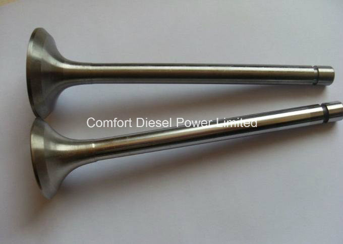 3035110 Valve Exhaust Used for Cummins Engine