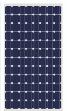 Silicon Solar Module