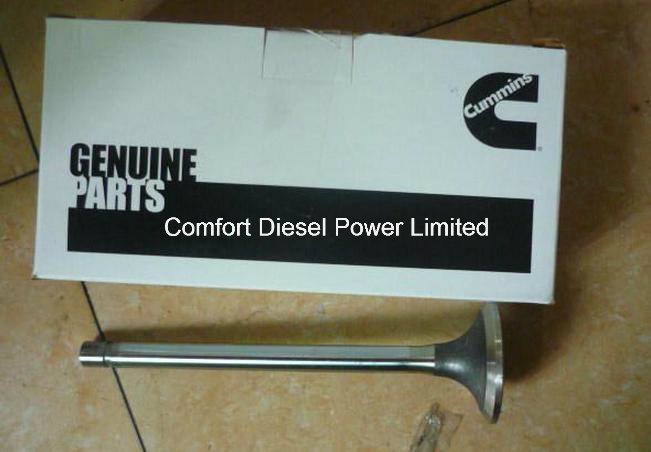 3088389 Exhaust Valve for Cummins Engine Parts
