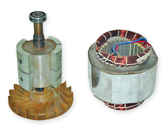 Rare Earth Permanent Magnet Alternator