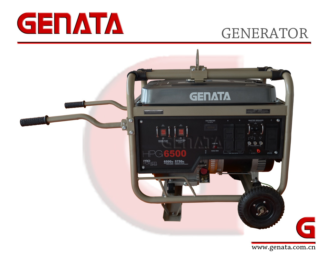 Mini Motor Ohv Generator 6.5kw (GR6500XE)