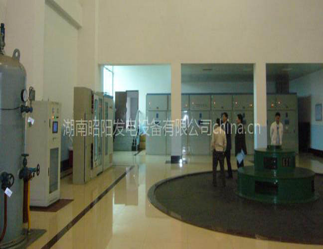 Hydraulic (Water) Turbine Generator Power Plant System (HLA551-42/1000)