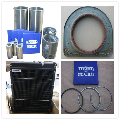 Alternator, Generator Belt of Lovol Engine