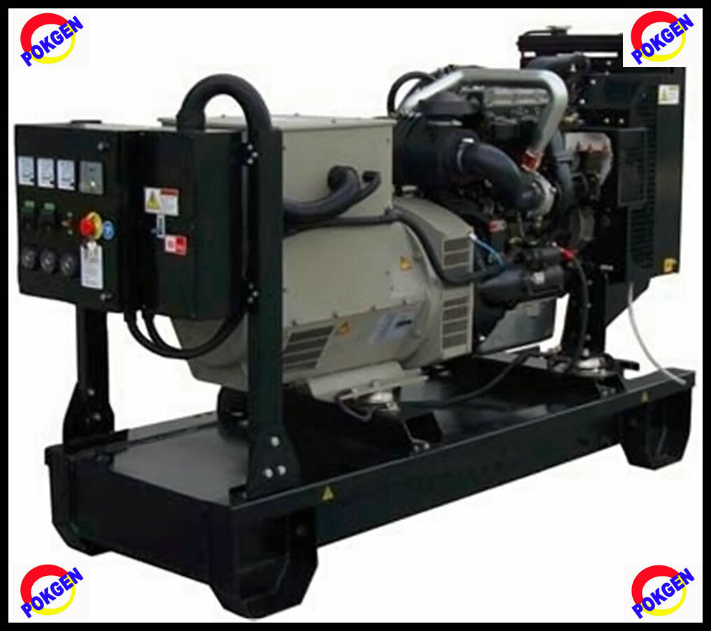 8kw Electric Generator (POKP13)