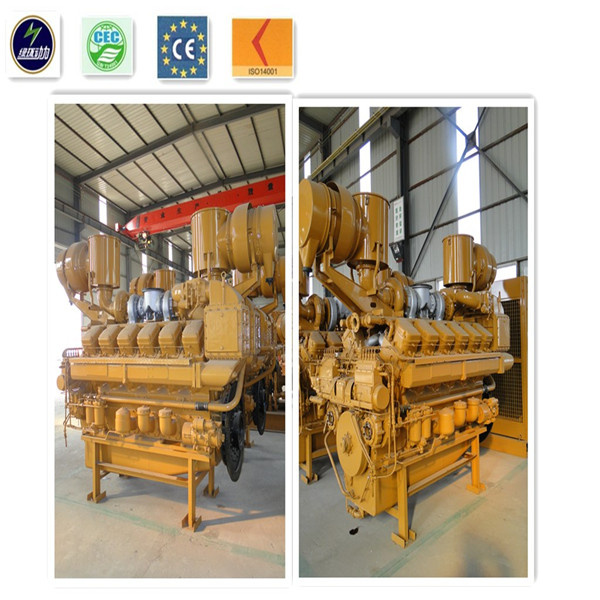 Best Choice 100kw Biomass Generator