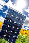Monocrystalline Silicon Solar Module Kmtyn-160W