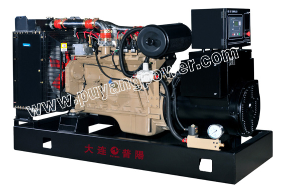 Natural Gas Generator with CE Certificate (PFO)