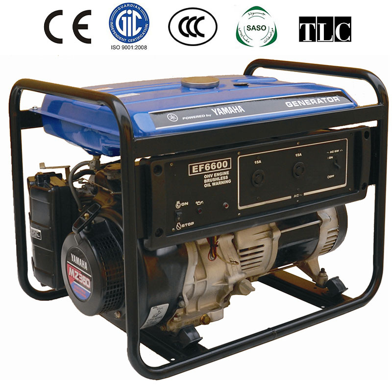 Multi-Purpose Petrol Engine Generator