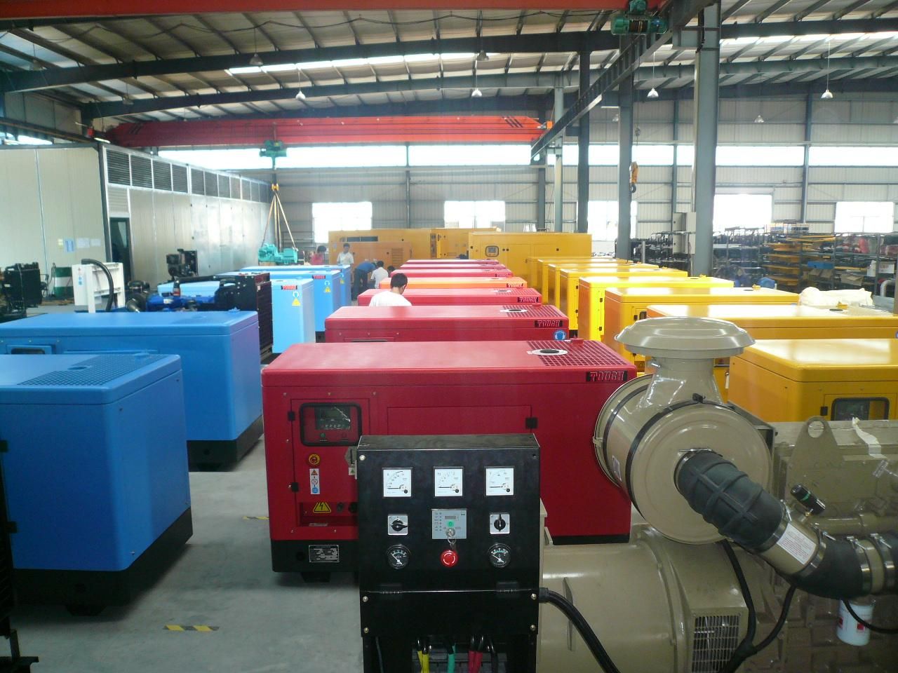 Cummins Diesel Generator (LG30C)