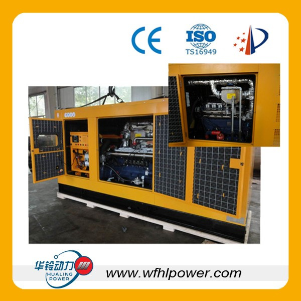 Ng Co-Generator