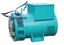 TFW Series Brushless Generator