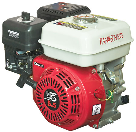 Gasoline Generator (TS168FA)