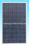 230W Polycrystalline Solar Module