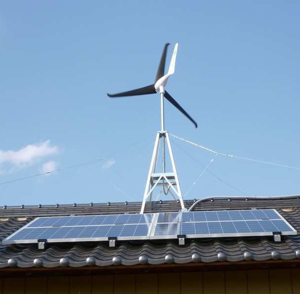 Wind Turbine 600W (X-600)