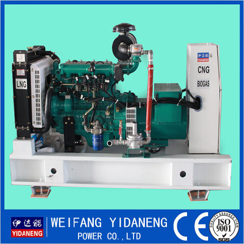 Yidaneng 20kw Natural Gas Generator Price