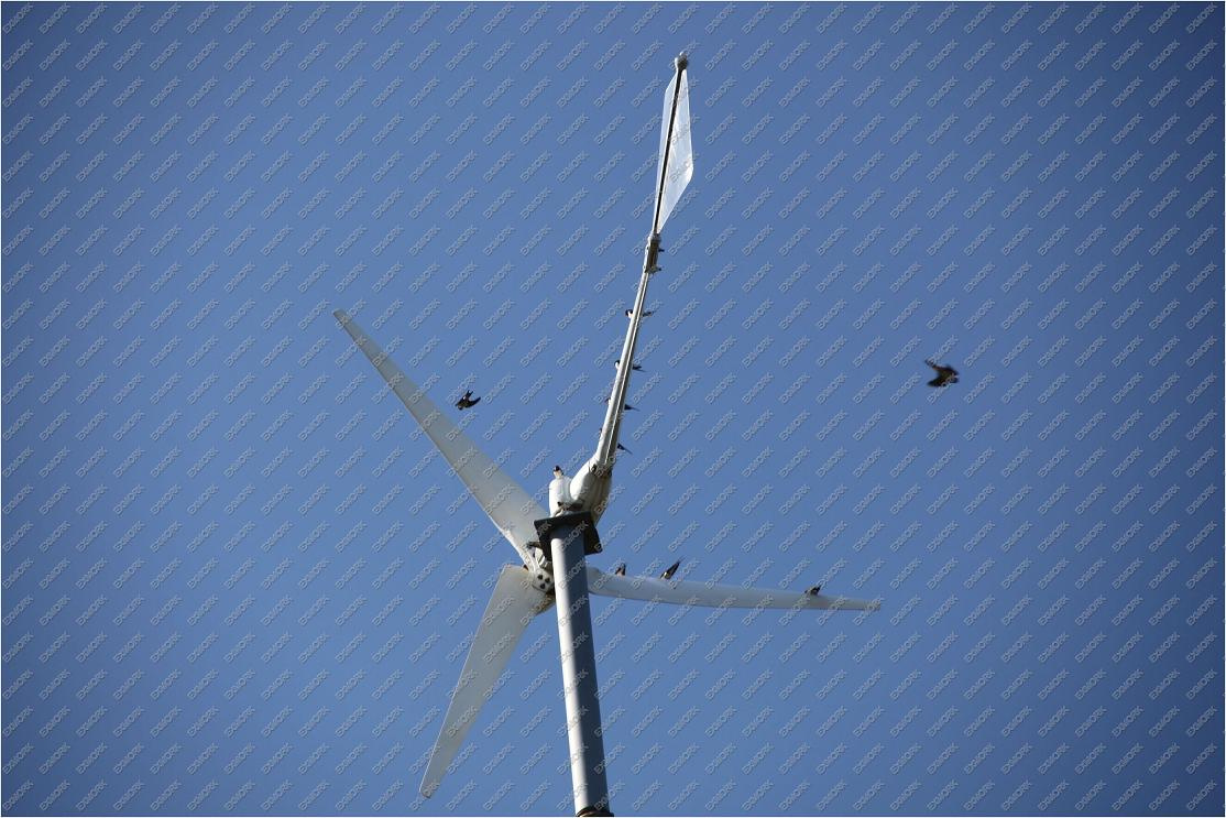 Small 5kw Wind Generator